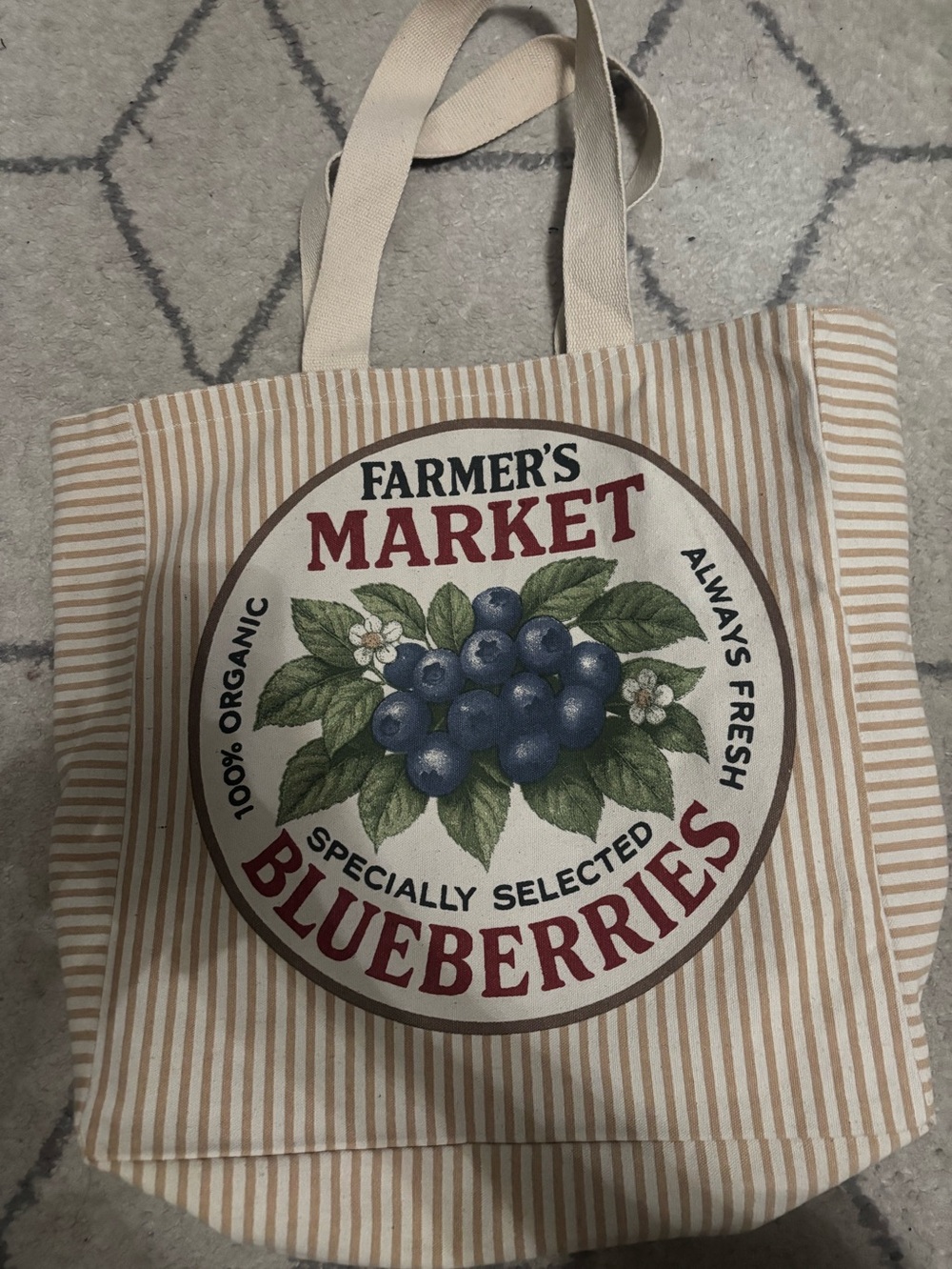 Farmer's Market I Blueberries Canvas Tote Bag - Beige Striped